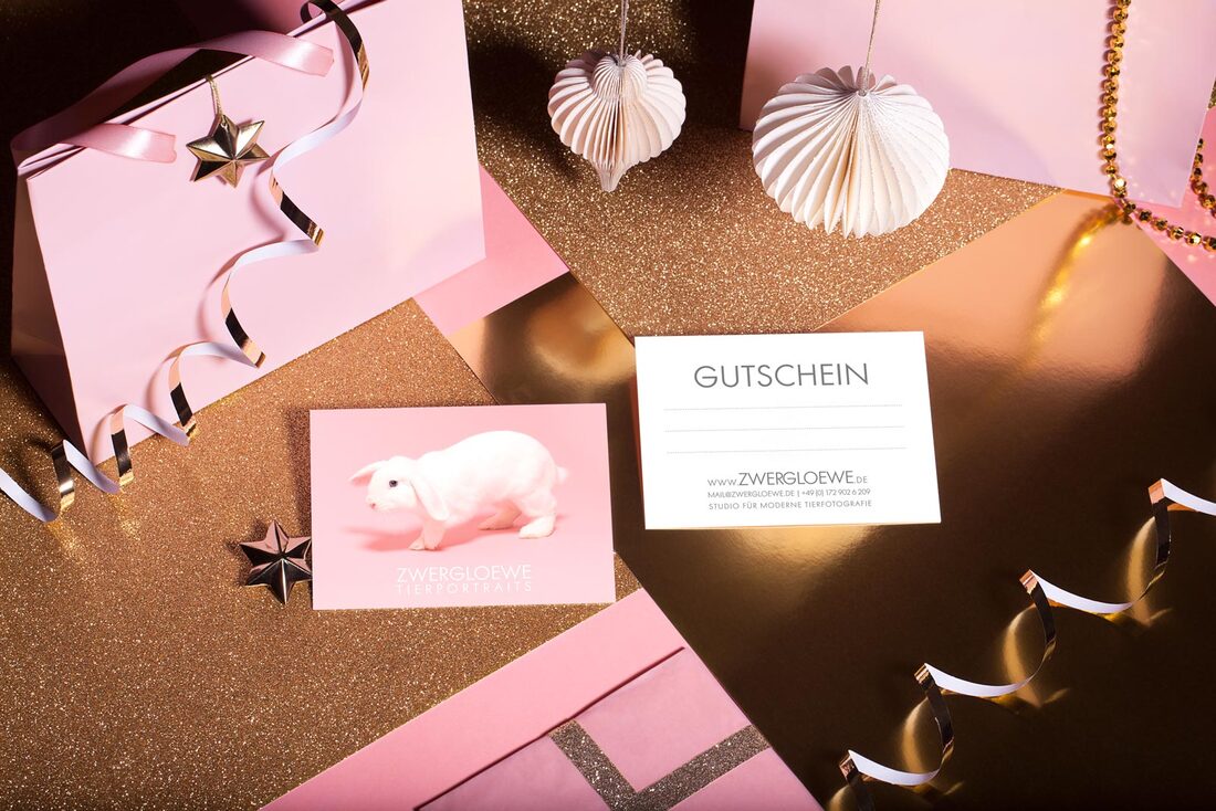 Geschenk Gutschein Fotoshooting Tierfotografie